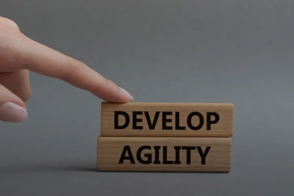 Agile Procedure develop agility